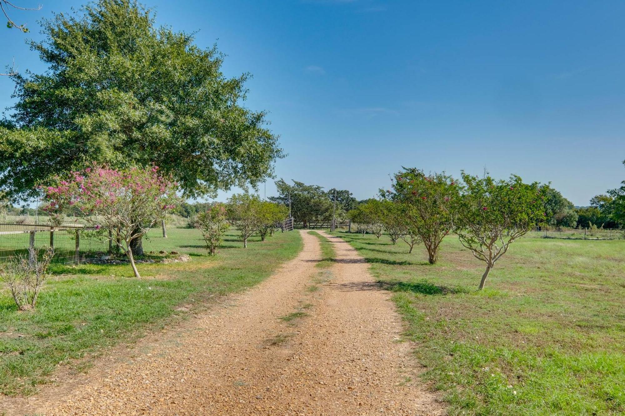 Delightful Carmine Studio On Farm Near Round Top! Ngoại thất bức ảnh